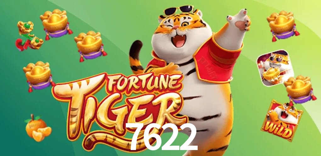 Experiência VIP 7622